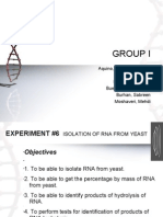 Report in Nucleic Acid