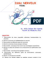 Uef 102 Diapo Tissu Nerveux