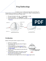 Frog Embryology