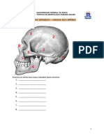 Estudo Dirigido - Ossos Do Crânio