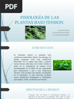 Fisiología de Las Plantas Bajo Tension