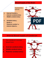 Arterial Blood Supply of The Brain: - Brain Supplied by Branches of Two Major Arteries