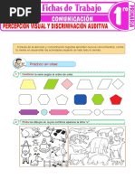 Percepción Visual y Discriminación Auditiva para Primer Grado de Primaria