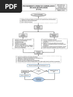 5.3. Procedimiento Operativo Normalizado en Caso de Explosion