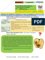 Evaluación Diagnóstica CyT-Primer Grado Sec.