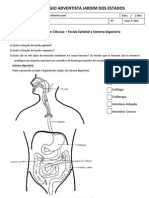 Atividade Sistema Digestório e Tecidos