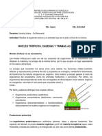 2do Año Guia 2 2do Momento NIVELES TRÓFICOS, CADENAS Y TRAMAS ALIMENTICIAS