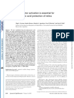 Retinoid X Receptors Activation Is Essential For Docosahexanoic Acid Protection of Retina Photoreceptors