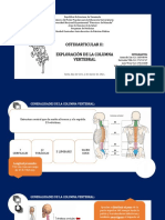 Osteo II Columna Vertebral Listo