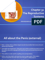 The Reproductive Systems: Ms. Vernon Administrative and Clinical Procedures