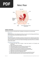 Pelvic Floor: Lesson Overview