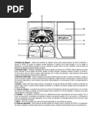 Digitech RP80 - Manual Del Usuario