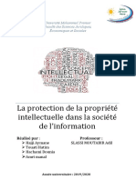 La Protection de La Proprieté Intelectuelle Dans La Société de Linformation