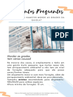 Hamesters (Perguntas Frequentes)