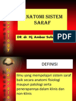 2 Organisasi Sistem Saraf 2018