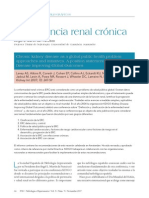 Insuficiencia Renal