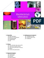 Mycobacterium Tuberculosis