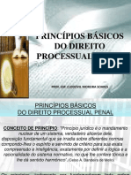 Princípios Do Processo Penal I 2020 - 1