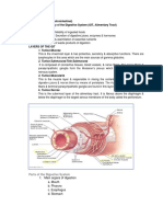 GI - Anatomy To Diagnostics