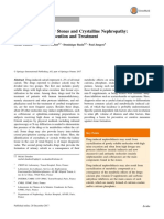 Drug-Induced Kidney Stones and Crystalline Nephropathy: Pathophysiology, Prevention and Treatment