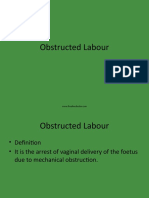 Obstructedlabour 100515015740 Phpapp01