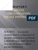 Social Organization/ Social Institution