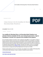 Guía para Extraer LSA de Semillas de Forma Sencilla - Zamnesia Blog