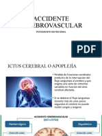 Accidente Cerebrovascular: Tratamiento Nutricional