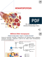  HEMATOPOYESIS