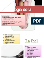 Fisiologia de La Piel