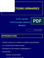 Les Infections Urinaires