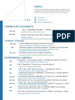 Plantilla Curriculum Vitae 8