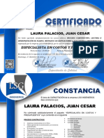 Pe Costos y Presupuestos - Certificación y Constancia 341 Laura Palacios, Juan Cesar