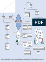 Mapa - Sistema de Salud en México