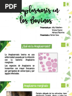 Enfermedades Veterinaria