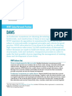 WWF Global Network Position Dams