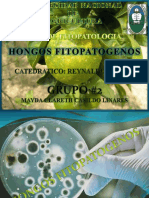 Hongosfitopatogenospresen 140805193722 Phpapp02