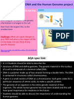 Lesson Title: B13.4 DNA and The Human Genome Project: Connector: Questions On Prior Learning Linked To Todays Lesson