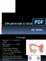 Implantation & Second Week