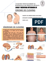 A1p2-Sindrome de Cushing