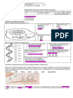 2020 Taller #5 Transcripción Del Arn PDF