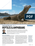 Reptiles & Amphibians: Photo Masterclass