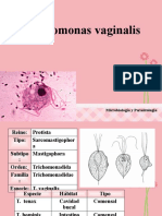 Thrichomonas Vaginalis