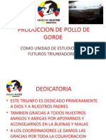 Produccion de Pollo en Gorde