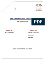 Process Com Rapport Final