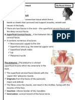 The Neck / Firas Al-Hameed by Rusul Anwar