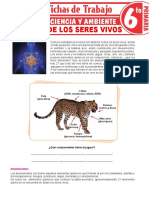 Bioquímica de Los Seres Vivos