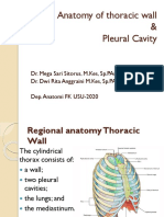 Anatomy of Thoracic Wall & Pleura-Dikonversi