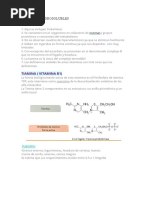 Vitaminas Hidrosolubles (Apuntes)