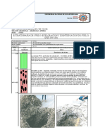 Perfil Estratigrafico Calicatas